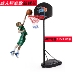 双航 篮球架 青少年儿童室内家用球架 户外可升降可移动成人标准篮球架 3.4米款+标准7号篮球