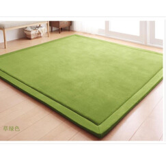 海边茉莉加厚地毯降噪卧室隔音毯床边毯儿童房防摔毯保暖大面积满铺定做 苔绿色 160X200cm