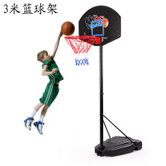 双航 篮球架 青少年儿童室内家用球架 户外可升降可移动成人标准篮球架 3米款+标准7号篮球