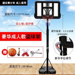 乃力 标准篮球架 可升降篮球框移动简易篮球架 家用户外篮球架 尊享版 手拉调节+标准框+框网+保套