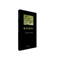 鲁滨逊漂流记