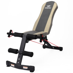 多德士（DDS） XF002 专业级多功能哑铃凳 仰卧起坐健腹肌板 家用运动健身器材 小飞鸟系列