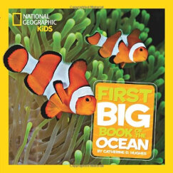 美国国家地理儿童百科 海洋 National Geographic Little Kids First Big Book of the Ocean 进口原版 少年儿童科普 大开本