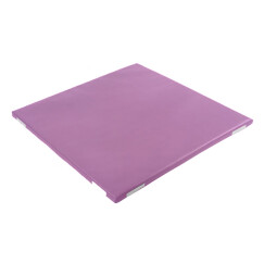 幼儿园早教儿童PU软体地垫 宝宝专用爬行垫加厚体操垫子软包定制 紫色 100*100*5cm