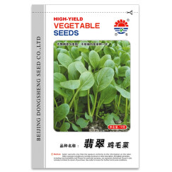 DS 翡翠鸡毛菜 北京东升种业 蔬菜种子 全年播种 抗病耐热湿抗抽苔 10g/袋