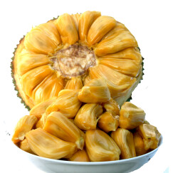 益优果海南三亚新鲜水果菠萝蜜1个L果12.5-14kg~