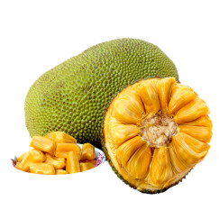 益优果 海南三亚新鲜水果 菠萝蜜黄肉1个整个果