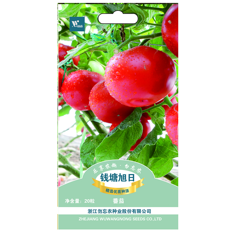 勿忘农钱塘旭日番茄种子四季蔬菜阳台庭院种植20粒/袋