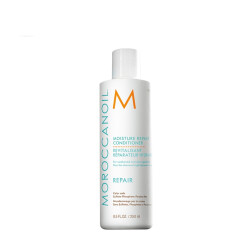 MOROCCANOIL 摩洛哥油（Moroccanoil） 护发精油干枯毛躁免洗头发护理滋润 润泽修护护发素250ml