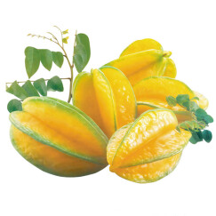 漳州杨桃 新鲜水果 台湾品种福建种植发货 树上熟不酸 现摘发货 精选杨桃试吃2个