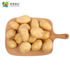 家美舒达 滕州小土豆 山东特产 小土豆 马铃薯 2.5kg 产地直供 健康轻食 新鲜蔬菜