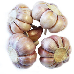 紫皮大蒜怎么样_紫皮大蒜多少钱_紫皮大蒜价