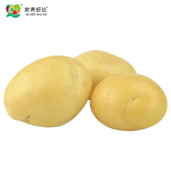 山东农特产 滕州土豆 洋芋 马铃薯 2.5kg 产地直供 健康轻食 新鲜蔬菜