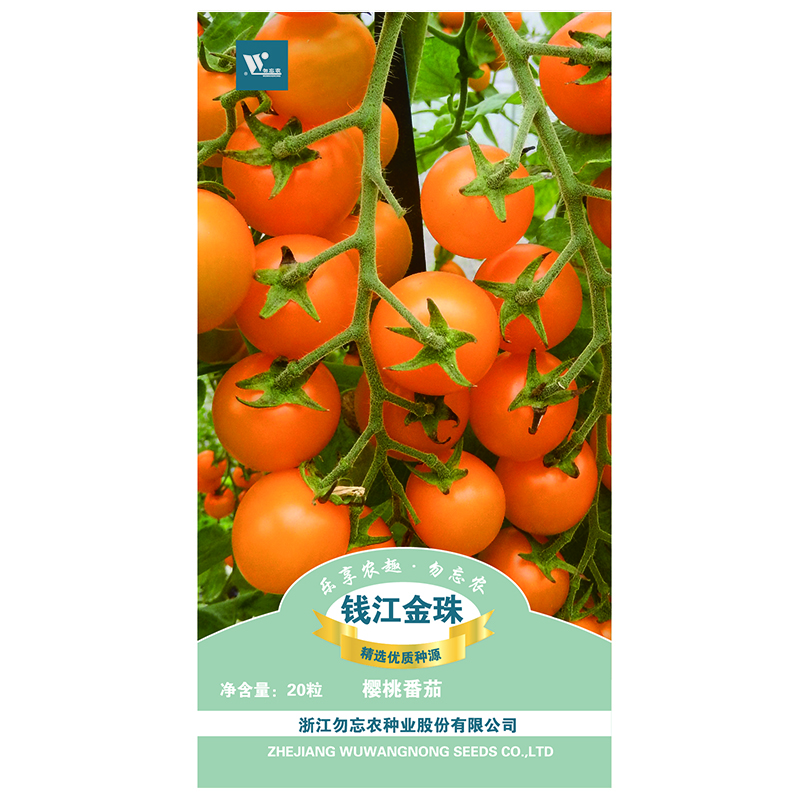 勿忘农钱江金珠小番茄种子四季蔬菜阳台庭院种植20粒/袋