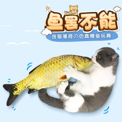 猫咪玩具鲤鱼宠物猫咪毛绒玩具抖音同款网红玩具鱼自带猫薄荷猫猫玩具 玩具鲤鱼小号