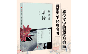蒋勋说唐诗（修订版）中国文学之美系列 中信出版社