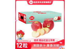 佳农 烟台红富士苹果 12个装 单果重约200g 新鲜水果礼盒