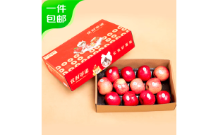 京鲜生 陕西洛川红富士苹果4.8斤 果径75mm 新鲜水果 源头直发