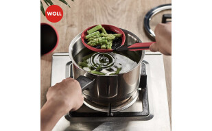 德国WOLL不锈钢18cm奶锅汤锅炖锅家用煮泡面锅电磁炉通用锅具