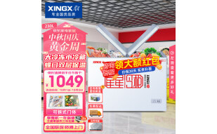 星星（XINGX） 230升 双箱双温冷柜 家用商用冰柜 蝴蝶门玻璃门 冷冻冷藏冰箱 BCD-230HE