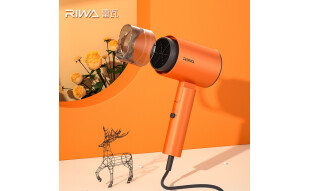 雷瓦（RIWA）电吹风机宿舍家用风筒速干恒温多档温控冷热风高速吹发造型 白色