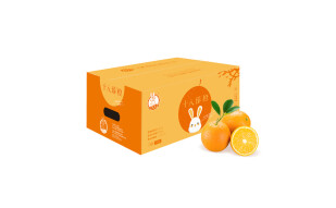 十八臻 秭归伦晚橙 5kg礼盒装  钻石果 单果约200g以上 鲜橙子甜橙桔子 新老包装随机发货 生鲜水果 水果礼盒