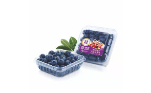Joyvio 佳沃 当季云南蓝莓 1盒装 125g/盒 生鲜 新鲜水果
