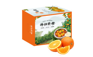 京鲜生 秭归伦晚脐橙5kg 单果约140-170g 新鲜水果
