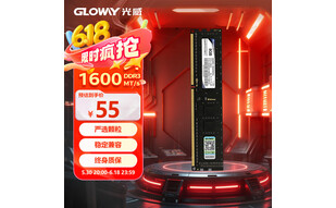 光威（Gloway）8GB DDR3 1600 台式机内存条 战将系列