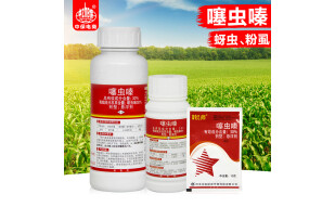 中保（ZhB）30%噻虫嗪 悬浮剂水稻稻飞虱杀虫剂农药 100g瓶装