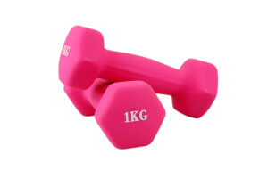 诚悦运动健身器材磨砂浸塑哑铃2公斤 CY-098粉色 （二只装 单只1公斤）