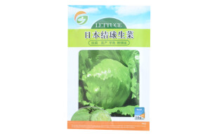 果花 日本结球生菜 绿色 蔬菜种子 可四季种植 10g/袋