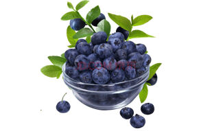 【春节不打烊，正常发货】进口智利新鲜蓝莓大果4盒装总净重500g 蓝莓水果 顺丰空运发货