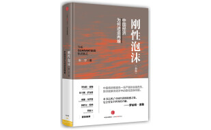 刚性泡沫（新版）朱宁 投资者的敌人、投资者的朋友作者 中信出版社图书