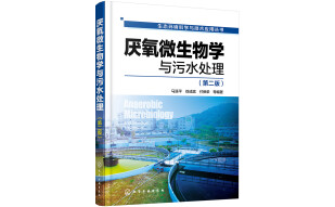 生态环境科学与技术应用丛书--厌氧微生物学与污水处理（第二版）