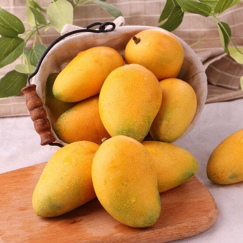 【现货】新鲜小台农芒果整箱应季热带水果  9.5-10斤装