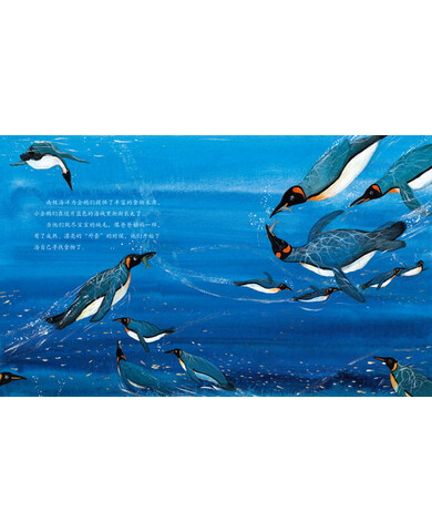 保冬妮原创绘本海洋馆·第1季:王企鹅的幸运星