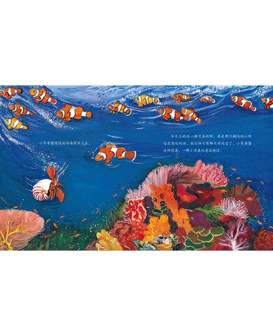 "大白鲸计划"保冬妮绘本海洋馆·第1季:小寄居蟹的第一课