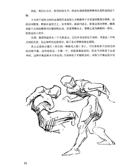 9折) 《伯里曼人体结构绘画教学》把所有的人体结构解剖学都包括于内