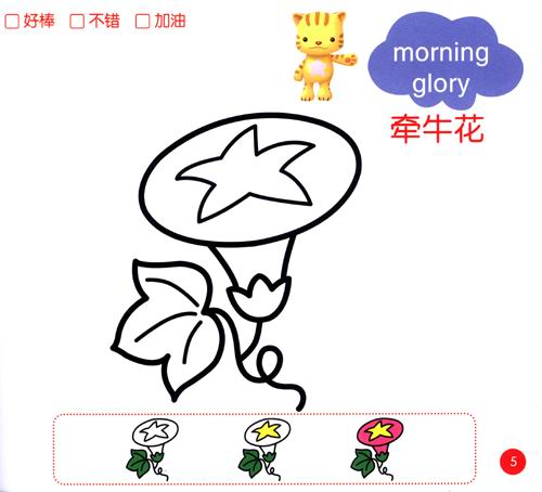 小宝贝涂色植物