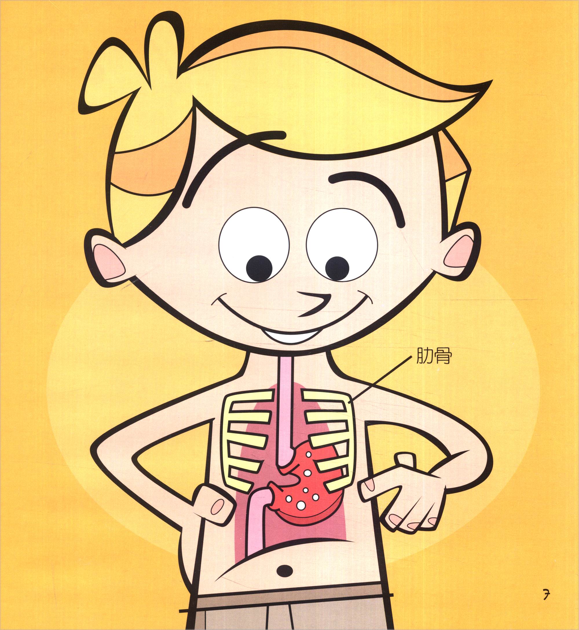 (精)奇妙的身体·我的胃9787553904689