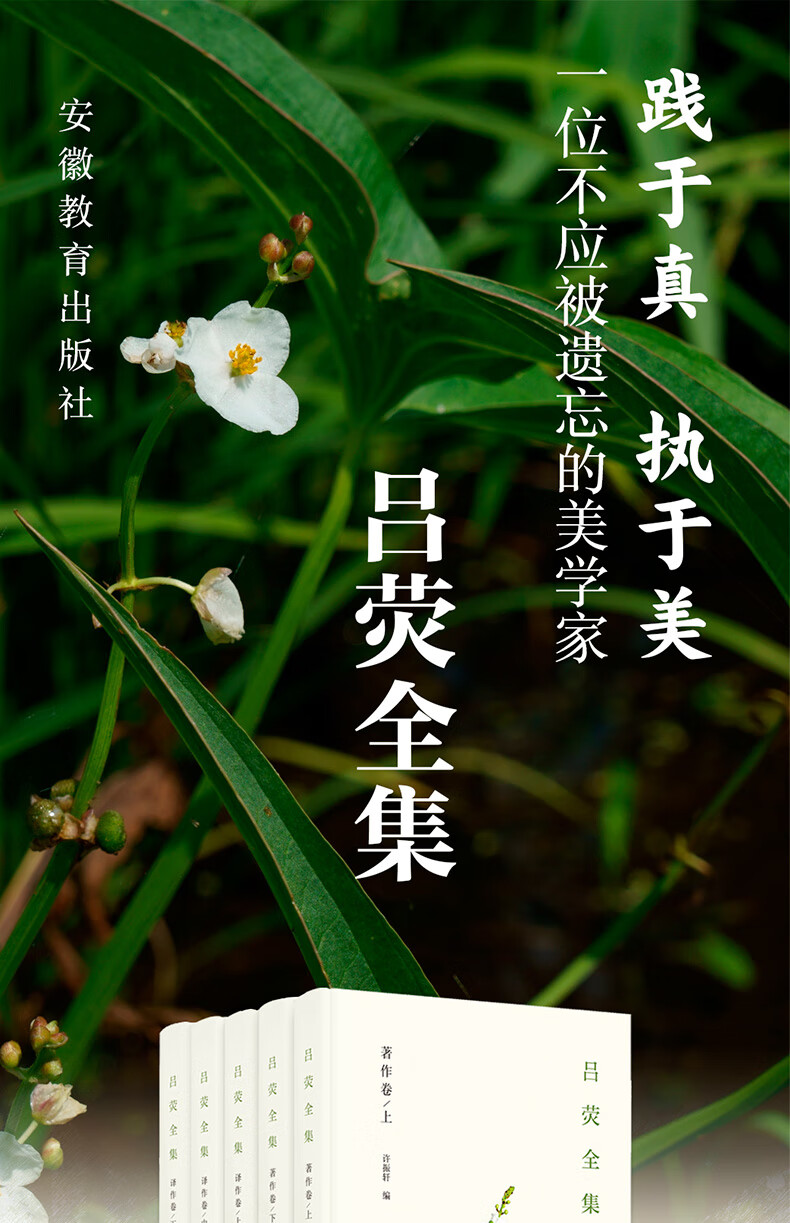 吕荧全集全5册吕荧安徽教育出版社