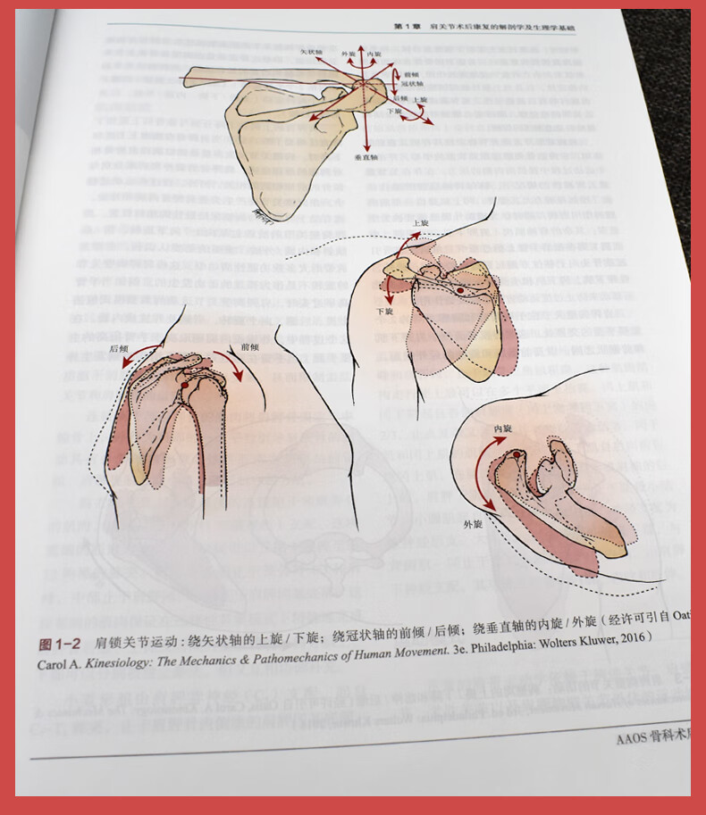 aaos骨科術後康復王雪強王於領骨科醫學臨床參考書籍9787