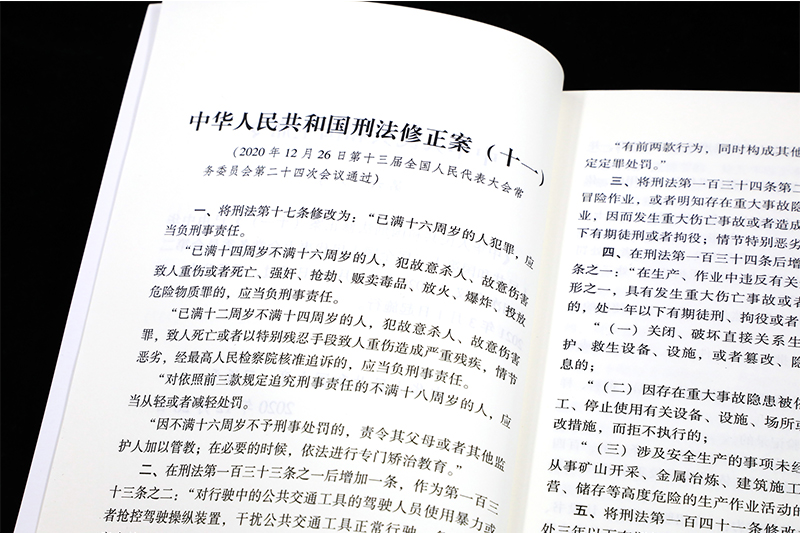 2021年实施正版中华人民共和国刑法法条单行本含刑法修正案十一及法律
