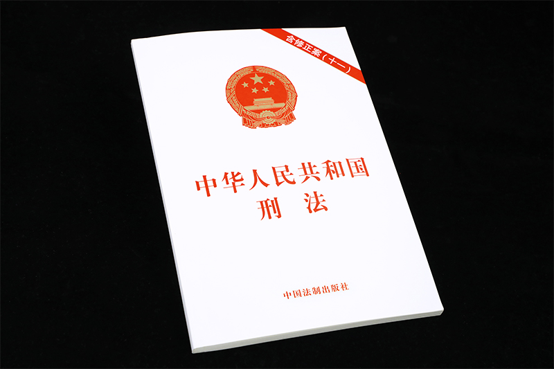 2021年新实施正版中华人民共和国刑法法条单行本含刑法修正案十一中国