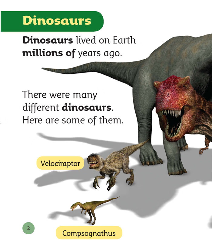 大猫英语分级阅读四级2 适合小学3.