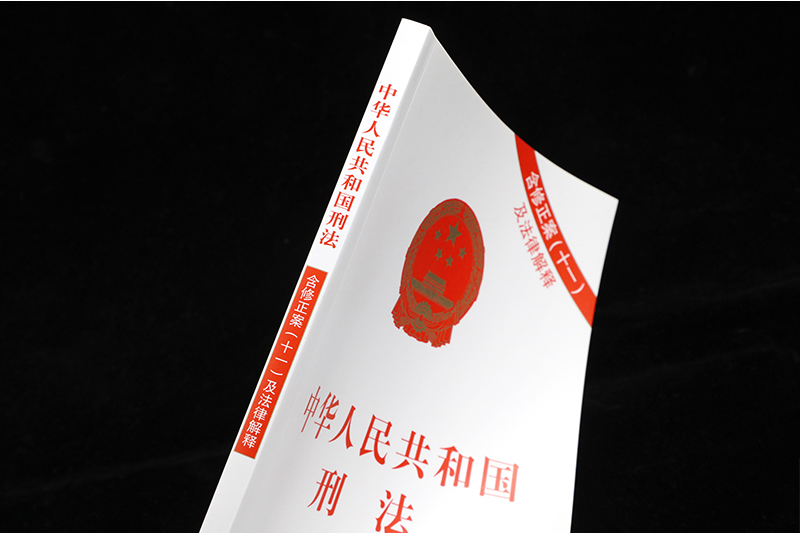 法条单行本含刑法修正案十一及法律解释中国刑法法律条文新刑法典书籍