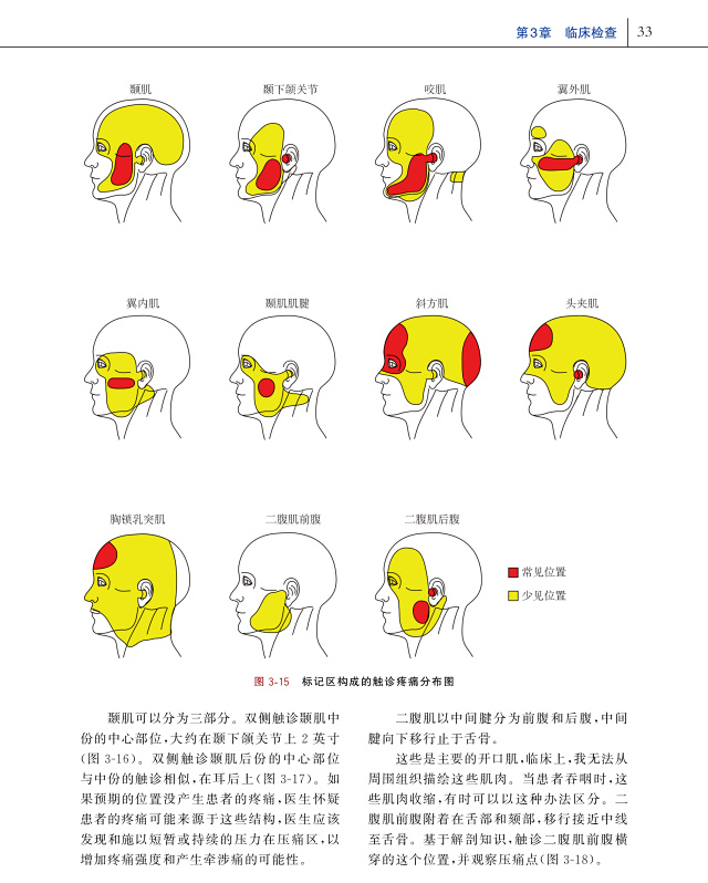 颞下颌关节紊乱病手法运动与针刺治疗颞下颌紊乱病诊治指南第3版套装2
