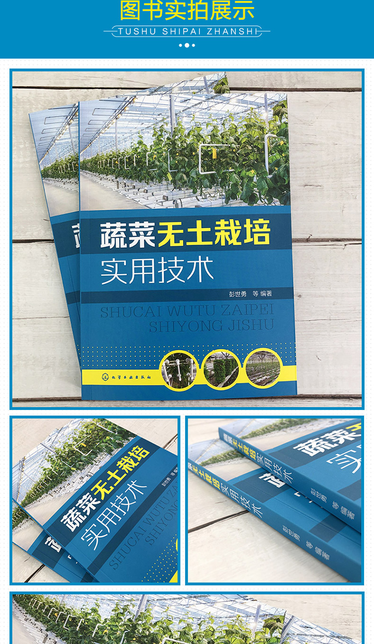 《2冊 蔬菜無土栽培實用技術 無土栽培安全蔬菜全程圖解 蔬菜作物無土