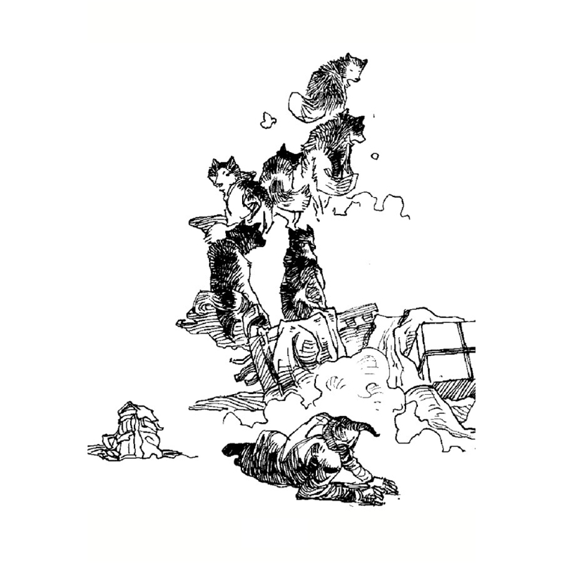 《野性的呼唤 打动孩子心灵的动物经典 儿童文学名著正版书二年级三